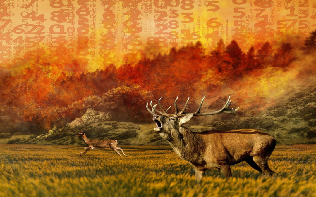 Hunt Deer Without Leaving Your Couch